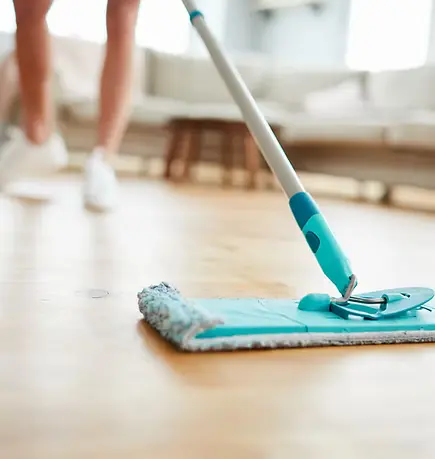 Spring Cleaning